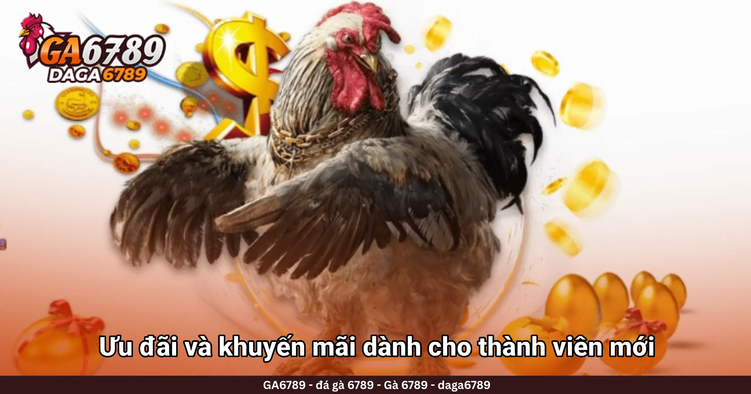 Ưu đãi và khuyến mãi dành cho thành viên mới