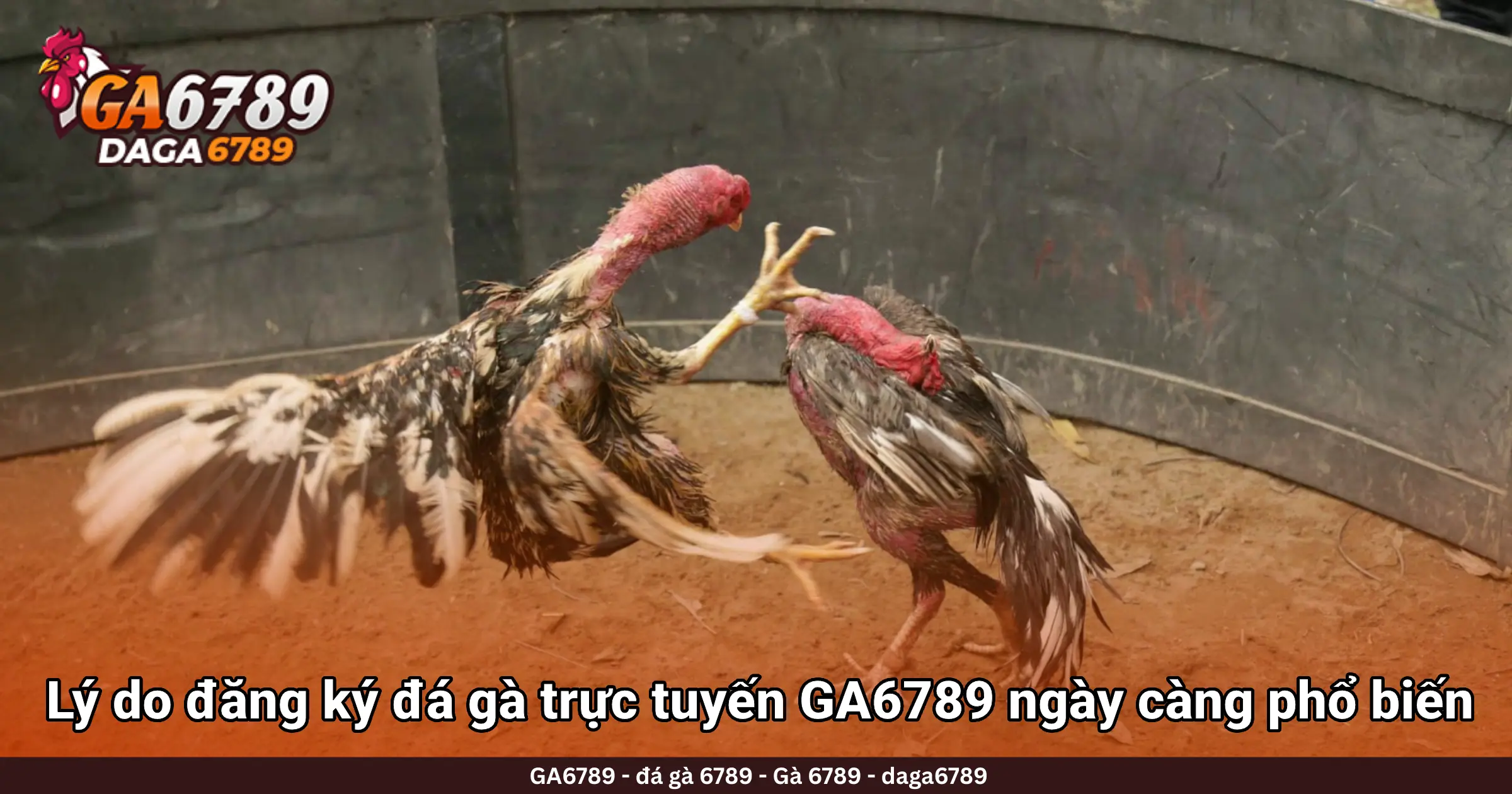 Lý do đăng ký đá gà trực tuyến GA6789 ngày càng phổ biến