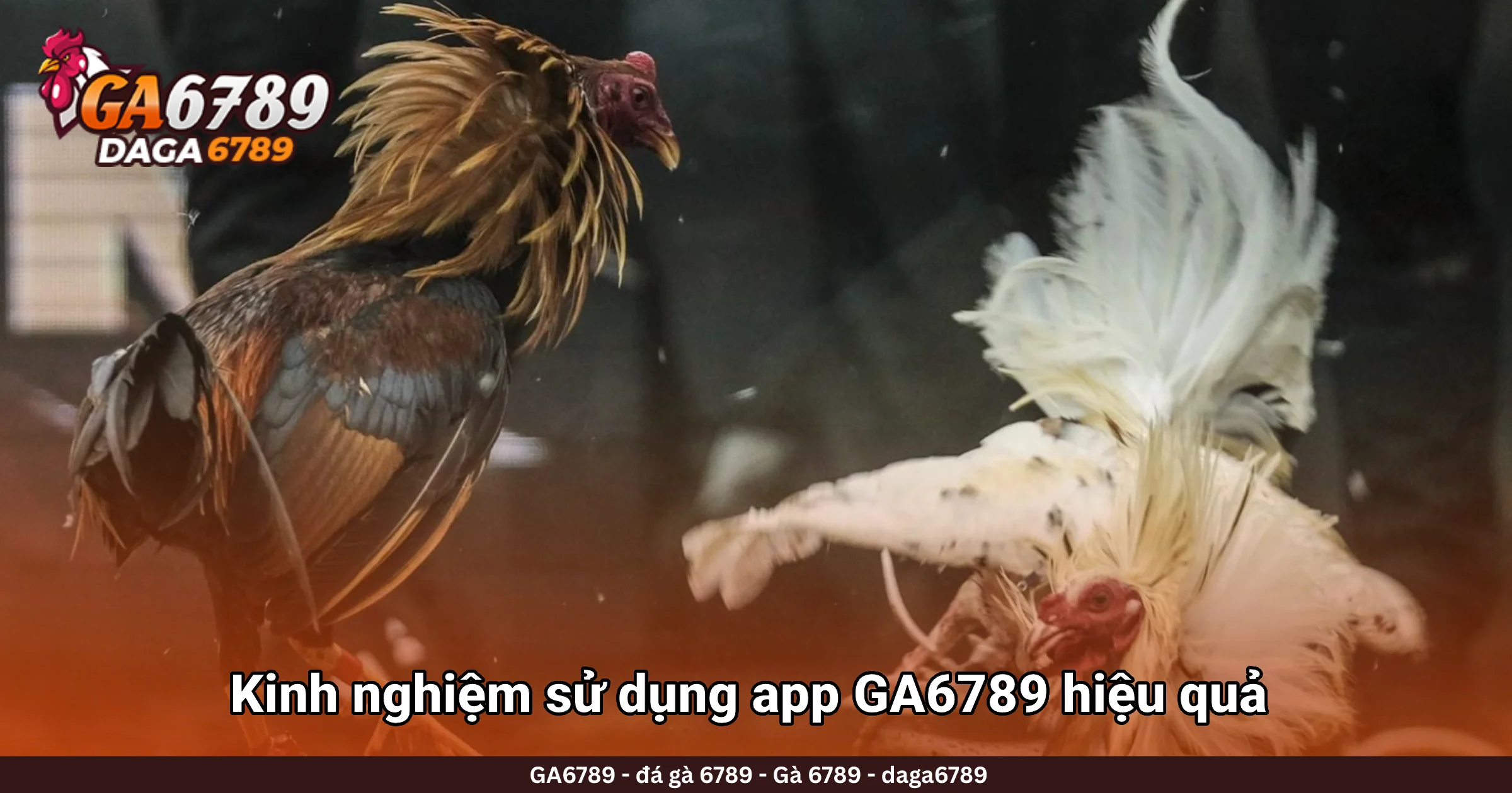 Kinh nghiệm sử dụng app GA6789 hiệu quả